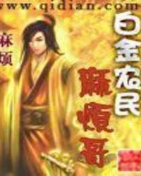 白金农民麻烦哥和超神机械师