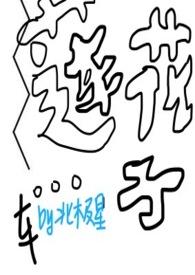 莲花子的功效和作用